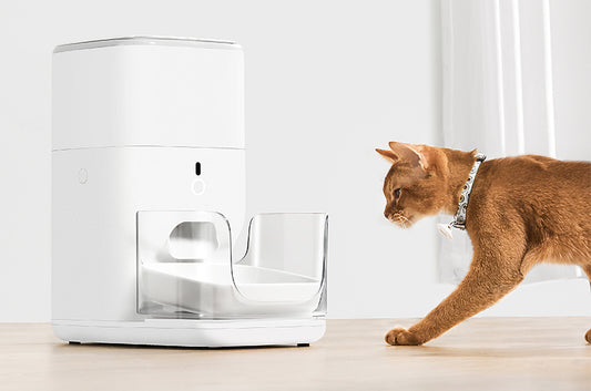 すべてをかなえる自動給餌器『CATLINK FRESH2』が新登場!理想的な食事も健康管理もアプリにおまかせ