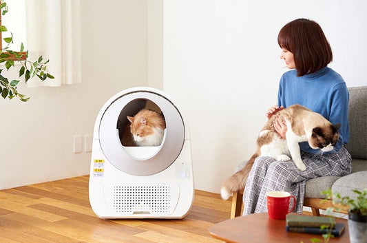 【2025年最新版】自動猫トイレのニオイが気になる問題
