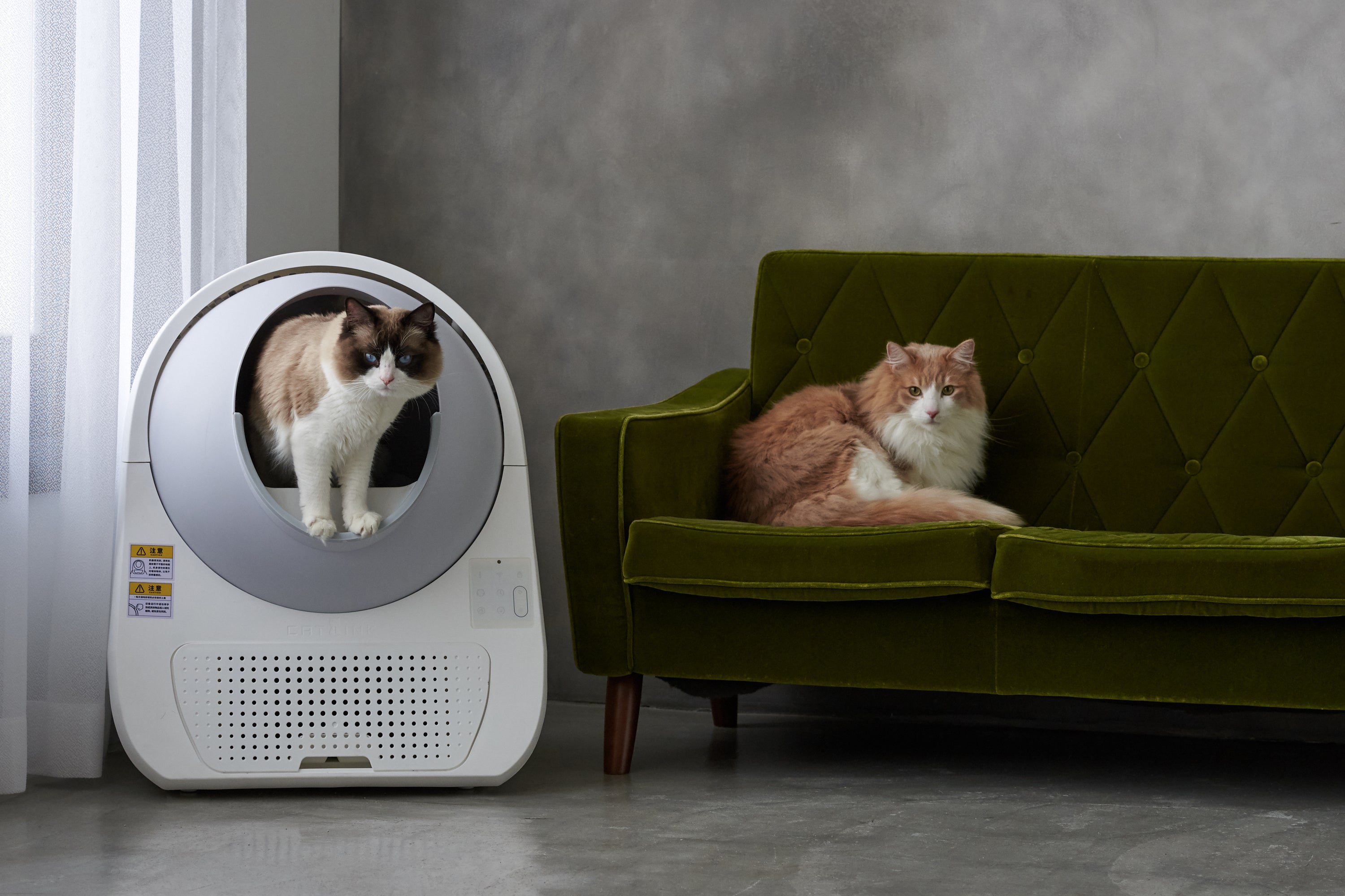 自動猫トイレを検討中のお客様からのQ＆A～その2 – OFT STORE