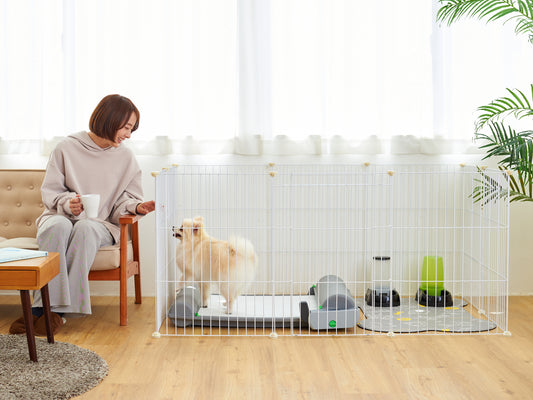 ブリリアントパッドで失敗しないトレーニング方法