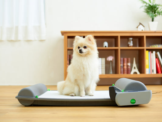 猫トイレだけじゃない!最新式、全自動犬トイレ『BrilliantPad SMART』