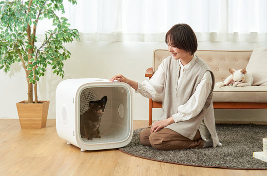 『日経MJ』で CATLINK SMART PET DRYER BOX が紹介されました。