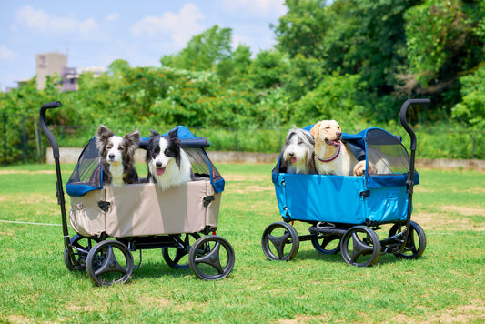 犬連れのキャンプを楽しむ最強アイテムが登場しました【ibiyaya アウトドア ペットワゴン】