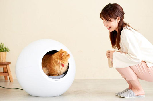「自動猫トイレの選び方」3種類の異なるタイプを比較します。