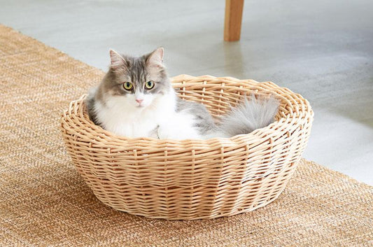 『ねこ115号 2020年8月号』にてYANAGI キャットベッドが紹介されました。