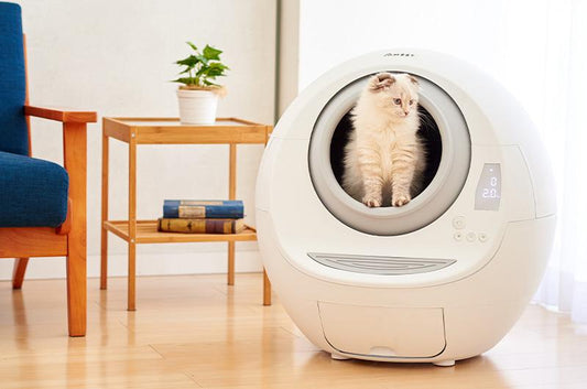 自動猫トイレ新機種MOMEの魅力とは?