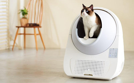 『 ねこ Vol.114 』にCATLINK SCOOPERが掲載されました。