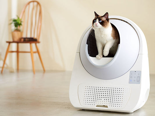 『HEIM(ハイム)』にCATLINK SCOOPER PROが掲載されました。