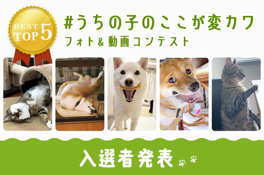 #うちの子のここが変カワ フォトコンテスト結果発表
