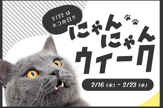 愛猫ちゃんと一緒に過ごせる幸せに感謝♪大好きな想いを伝えよう!