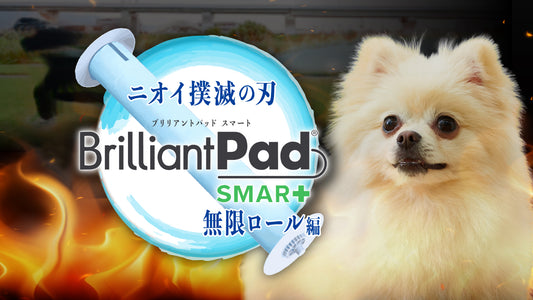 ひと味違ったOFTの商品PR動画が公開されました♪