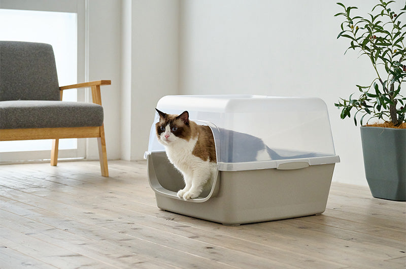 379d5ca13f1e97637a81fadfe7cf9e