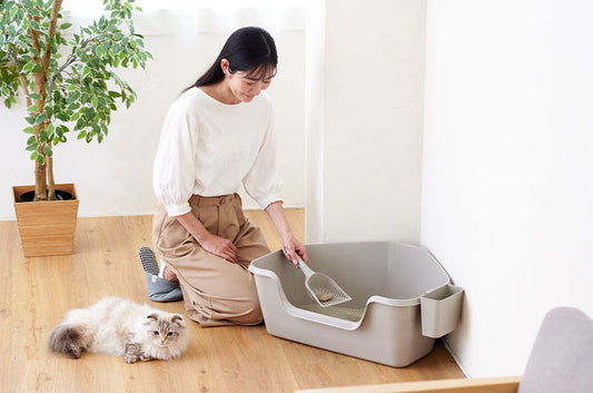 猫砂用スコップ、どれがオススメ?全4アイテムを徹底比較!