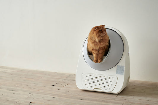 大人気自動猫トイレCATLINKに最上位モデルが登場『CATLINK SCOOPER PRO-X LUXIRY(ラグジュアリー)』
