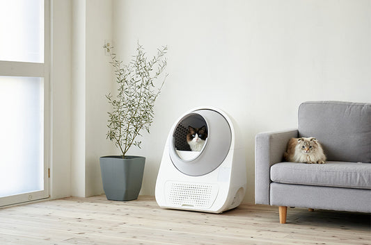 猫のお留守番は心配いらず!飲・食・トイレを完全自動化してくれる『CATLINK』シリーズ