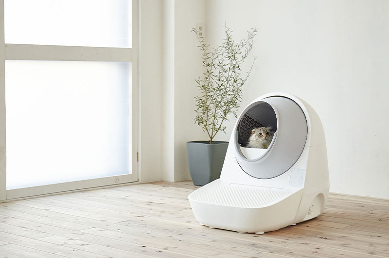 メディア大注目！見守りできる最先端の自動猫トイレ『CATLINK SCOOPER