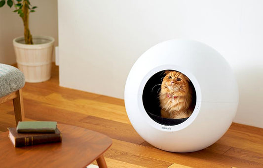 『DIME 2020年1月号』に自動猫トイレ CIRCLE 0(サークルゼロ)が掲載されました。