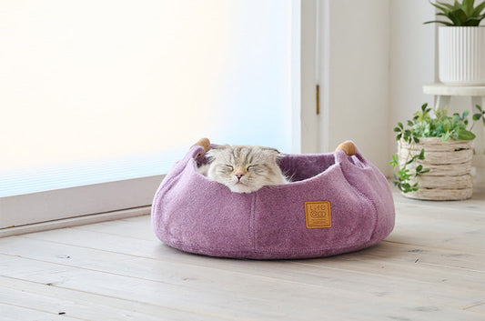 1年じゅう小春日和の心地よさ。コロンとかわいい猫ベッド『キャットベッドCOHALU』新発売