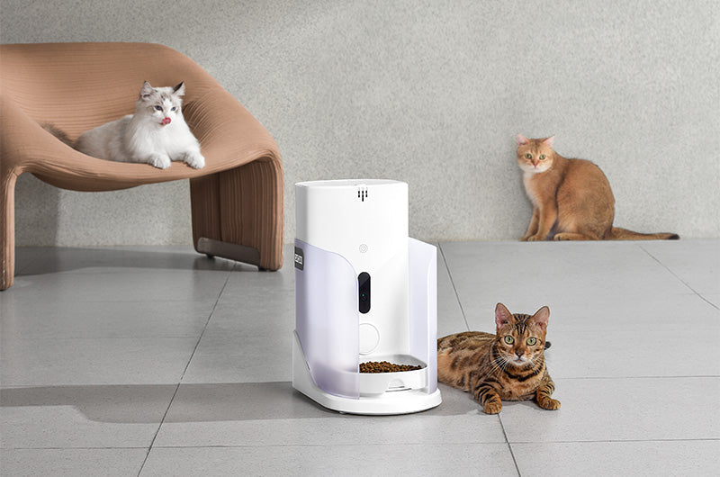 自動給餌器はここまで進化した！顔認証で猫ちゃんの健康管理を