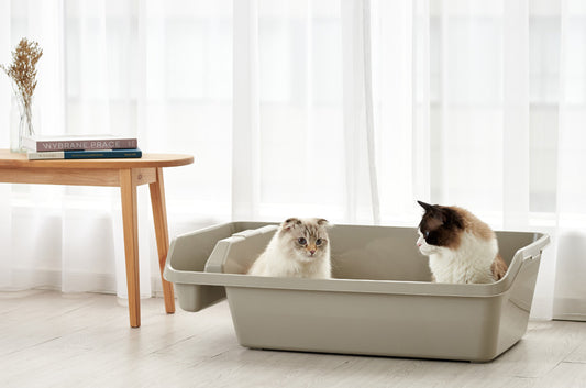 仲良し猫ちゃんの連れション?トイレ渋滞?まるっと解決してくれる猫トイレ『HYREX』