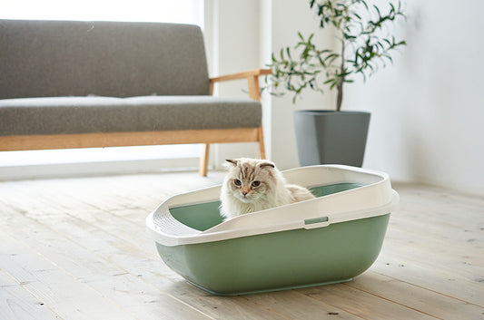 メガトレーも!MP社の猫トイレ3モデルにおしゃれな新色が登場