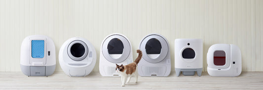 難しそうで手が出なかったオーナーさん必見!最新自動猫トイレを動画で説明します♪