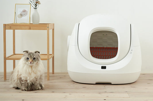 出入りしやすいコンパクトな最新モデル!自動猫トイレ『CATLINK SCOOPER SE』の予約販売が始まります