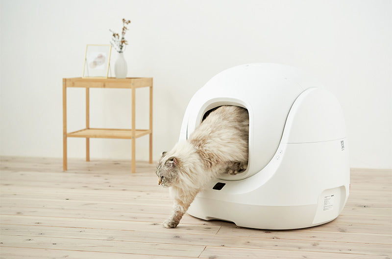 CATLINK SCOOPER SEをもっと使いやすく！『横漏れ防止シート』が
