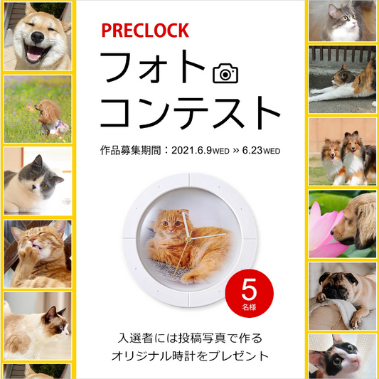 インスタフォトコンテスト!作品募集