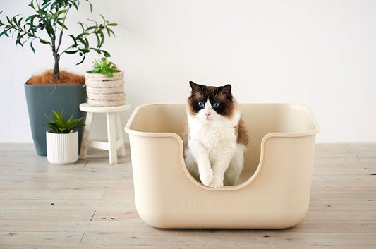 シンプル×おしゃれな超大型猫トイレ『TALL WALL BOX』に新色のベージュが登場