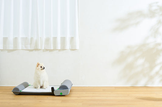 自動犬トイレ『ブリリアントパットSMART』は掃除が楽なだけじゃない!導入してわかった意外なメリット5つ