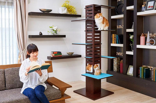 『CASA BRUTUS No. 235 猫と家。』にてショップの猫用品が掲載されました