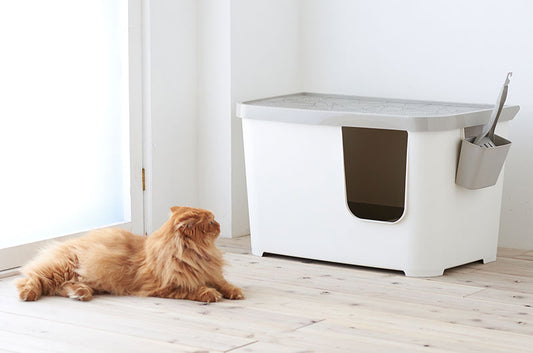 飛び散りやニオイを軽減!北欧風トイレカバー付き猫トイレ『Casetta(カセッタ)』が新発売♪