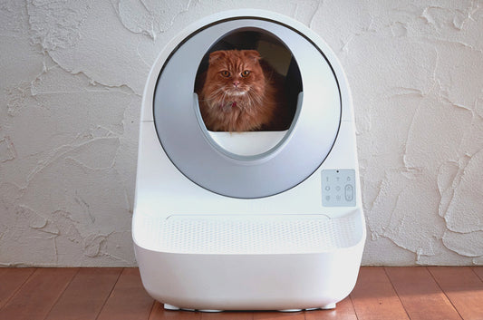 1ヶ月でいくらかかる!?自動猫トイレ導入後のランニングコスト