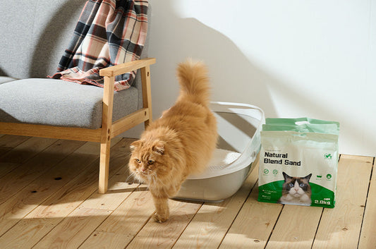 いいとこどり!最強消臭・瞬間凝固で健康志向な穀物系の猫砂『ナチュラルブレンドサンド』新発売