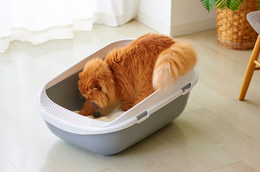 もう猫砂の飛び散りに悩まない!OFTオススメ解決アイテム