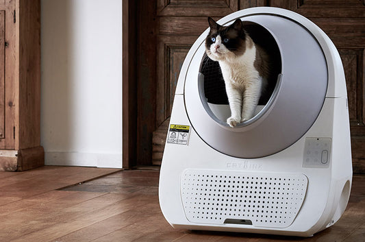 『CREA WEB』でCATLINK SCOOPER PROが紹介されました