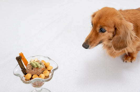 ワンちゃんには要注意!その意外な食材とは?