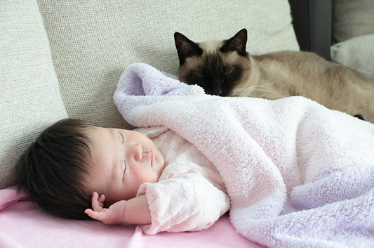 赤ちゃんと猫ちゃんの同居生活!仲良くする方法や注意したいポイントは?