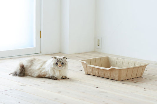 トイレ掃除はもう不要!清潔を保つ、使い捨て猫トイレ『ECO CAT TRAY』が新登場♪