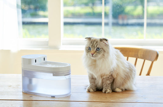 健康管理もできるコードレス自動給水器『CATLINK ワイヤレスファウンテン』が新登場!水飲みもトイレも1つのアプリで