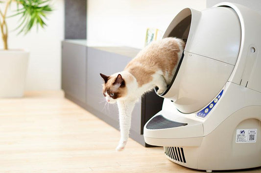 自動猫トイレ比較!サークルゼロとキャットロボットについて