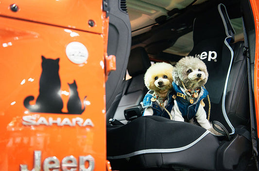 『Jeep公式WEBマガジン〈Realstyle by Jeep〉』にペットカートファーストクラスが掲載されました。