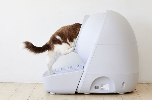 自動猫トイレに事故の危険はある?『CATLINK SCOOPER』の安全性を検証してみた