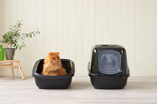 猫トイレの種類と選び方。定番からアイディアグッズまで徹底解説