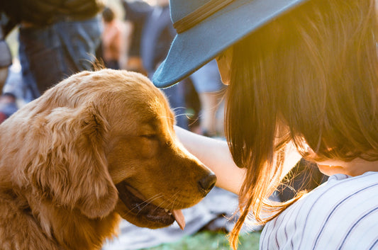愛犬・愛猫との別れに立ち直れない時は
