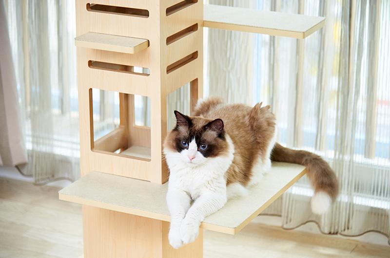 necobaco T 木製キャットタワー mblog001_1_29ec7beb-6e9a-44eb-