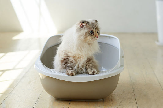 OFT猫トイレ 人気No.1のメガトレーから、コンパクトサイズが登場しました!