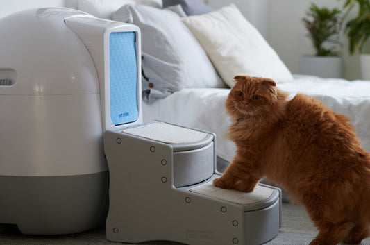 自動ネコトイレ×ステップで健康管理にも抜かりなし!?愛猫のための環境作り