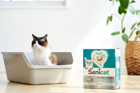 ヨーロッパで絶大な人気を誇る猫砂『Sanicat ストロングクランプ』の取り扱いが始まりました!